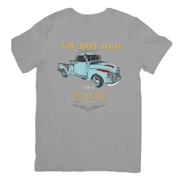 Kit 3 Camisetas Masculina Sortidas 100% Algodão Premium - Imagem 14